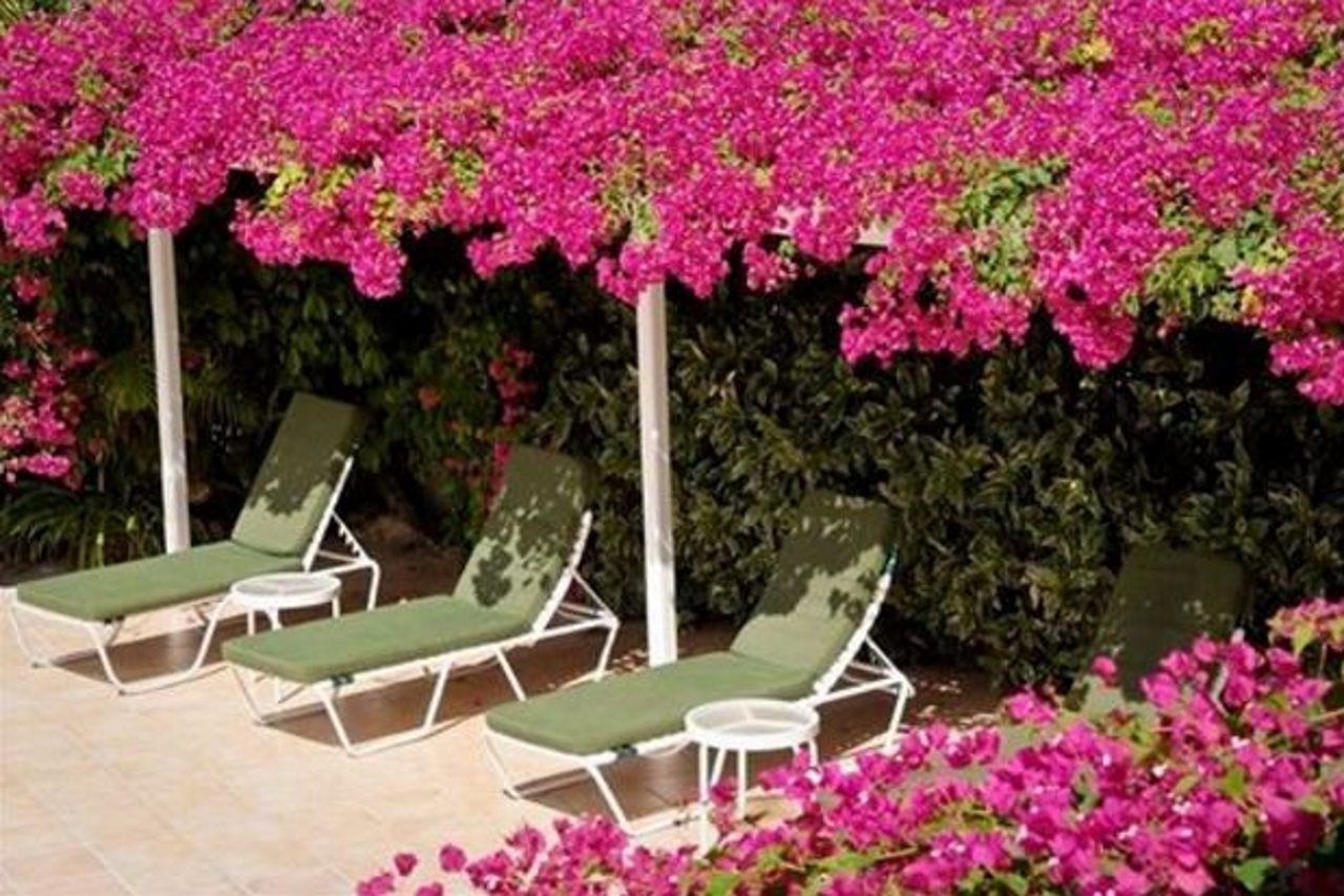 Trade Winds Hotel 딕킨슨 베이 외부 사진